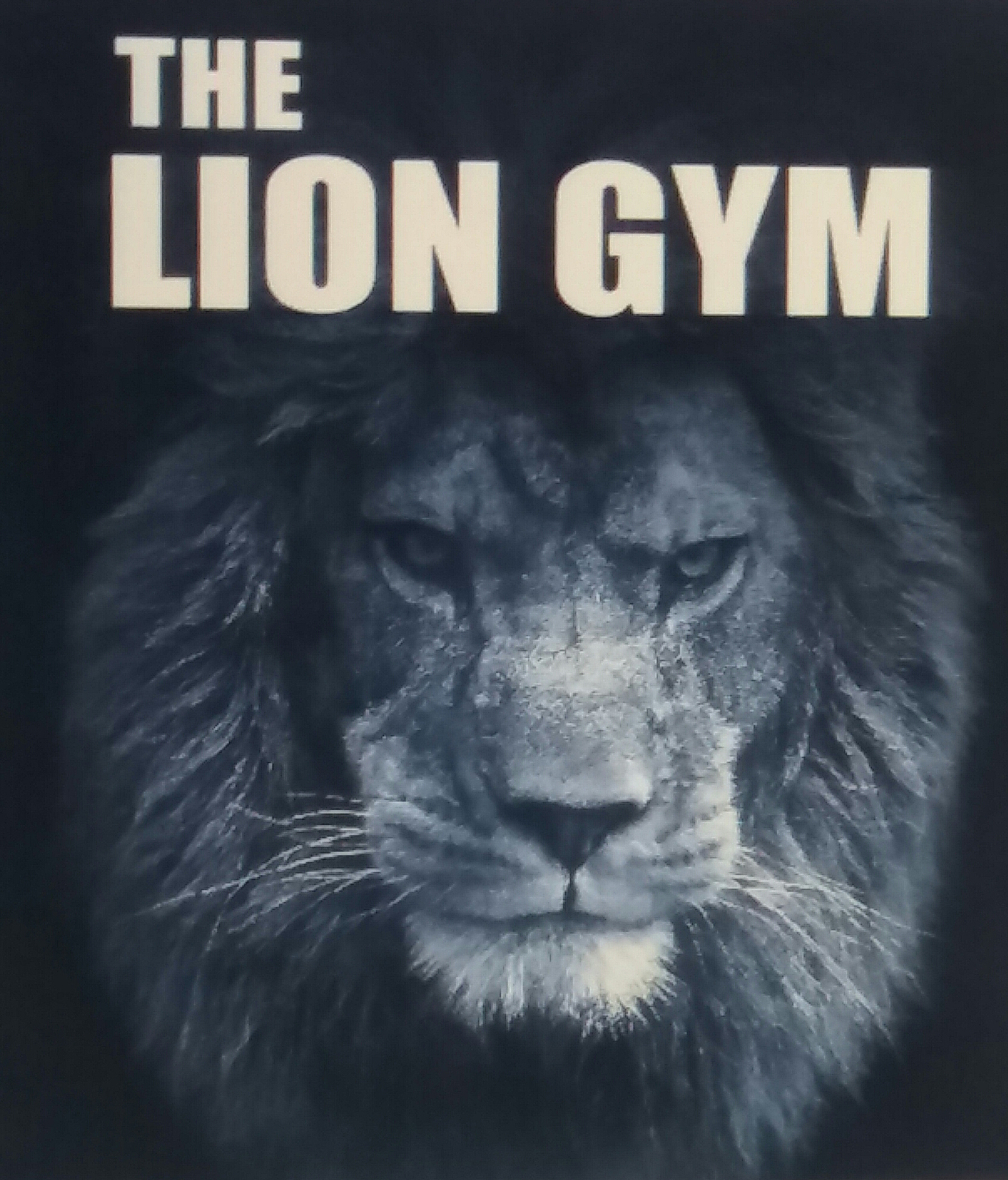 The Lion Gym - Old Palasia - Indore Image