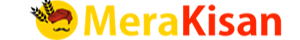 Merakisandaily