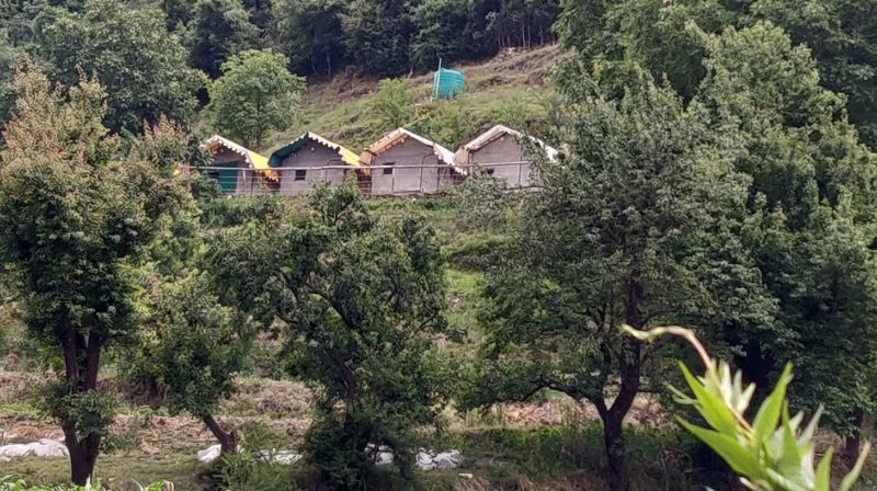 Clouds Camping - Shimla Image