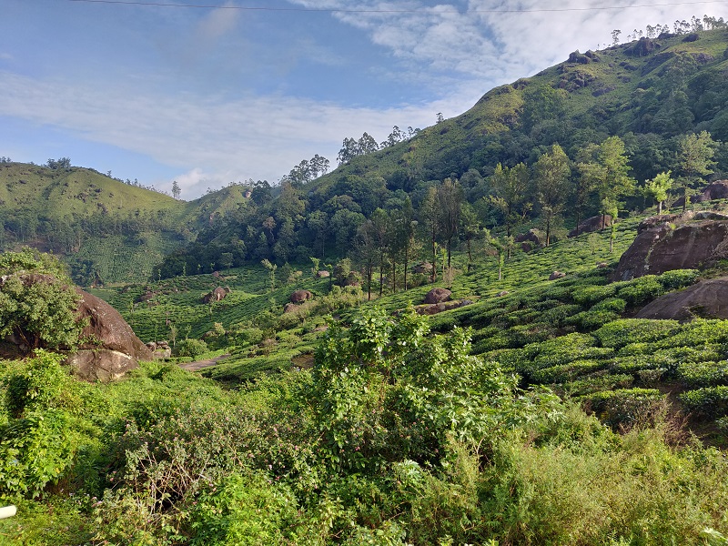 Hillstation Tour Hotel - Munnar Image