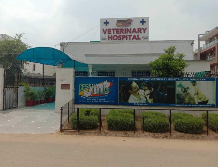 Cessna Lifeline Veterinary Hospital - Sector 38 - Gurgaon Image