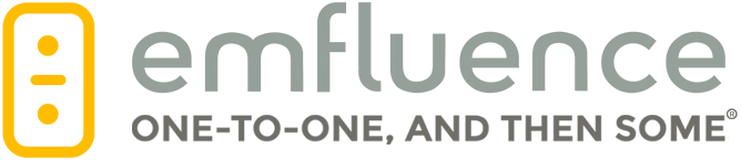 emfluence Digital Marketing Image