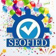 Seofied It Services Image