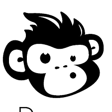 SeeResponse Image
