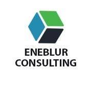 Eneblur Consulting Image