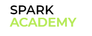 Sparkacademy.Us Image