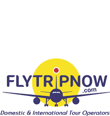 Flytripnow Tour & Travels - Bangalore Image