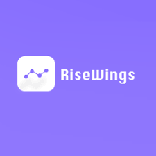 Risewings Technologies Image