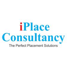 iplace Consultancy Image