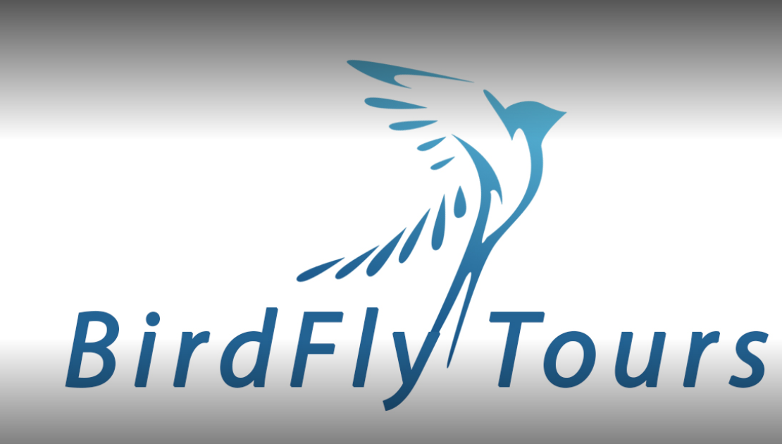 Birdfly Tours & Travels - Delhi Image