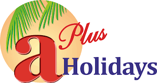 A Plus Holidays & Travels - Delhi Image