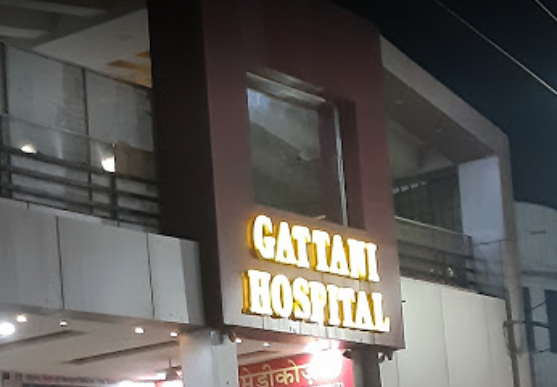 Gattani Hospital - Ashok Nagar - Udaipur Image