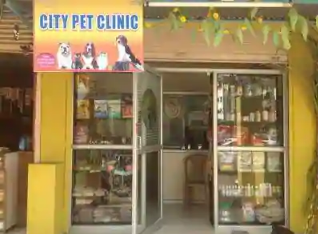 City Pet Clinic - Rajarampuri - Kolhapur Image