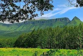 Nithesh Tours and Travels - Chikmagalur Image