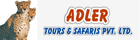 Adler Tours & Travels - Rajkot Image