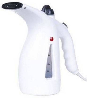 Ritts Enterprise HCG 848 1 W Garment Steamer Image