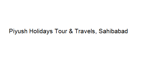 Piyush Holidays Tour & Travels - Sahibabad Image