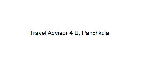 Travel Advisor 4 U - Panchkula Image