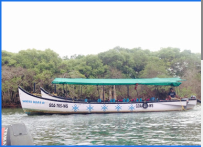 Vincent Boat Tours - Goa Image