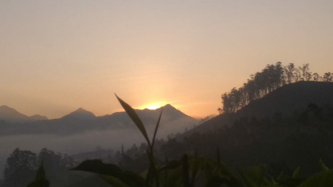 Munnar Viators - Munnar Image