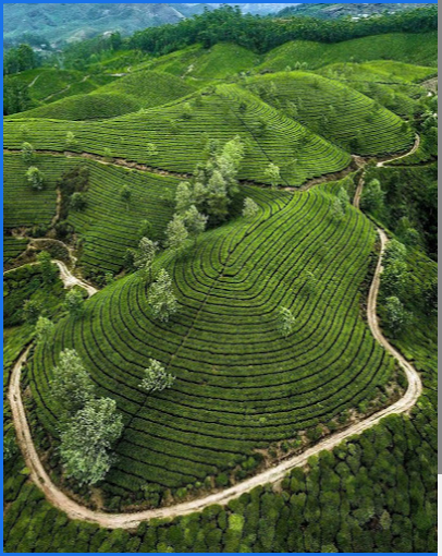 Anubam Tours And Travels - Munnar Image