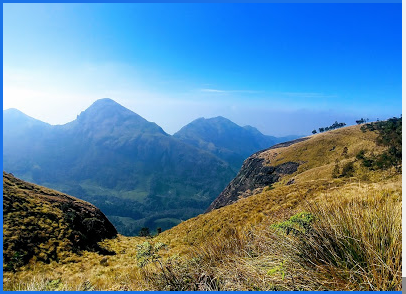 Kestrel Adventures and Holidays - Munnar Image