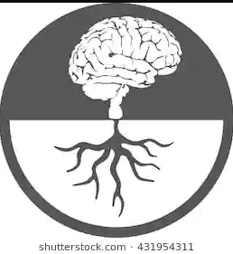 Brain Roots Tutorials - Giaspur - Ludhiana Image