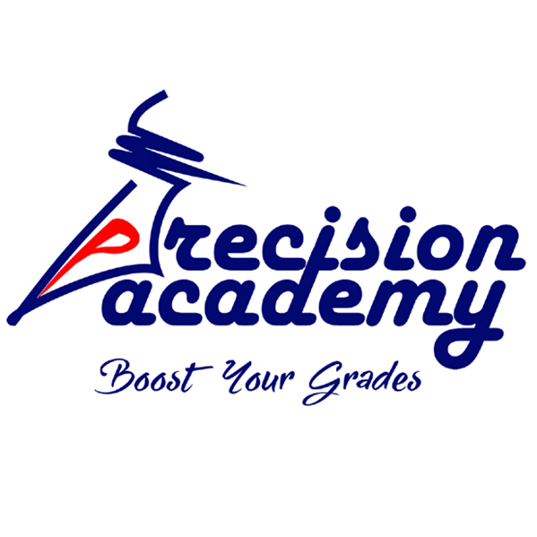 Precision Academy - Ghumar Mandi - Ludhiana Image