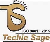 Techie Sage - BRS Nagar - Ludhiana Image