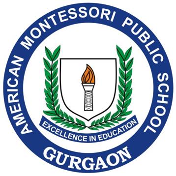 American Montessori Public School - DLF City Phase 2 - Gurgaon Image