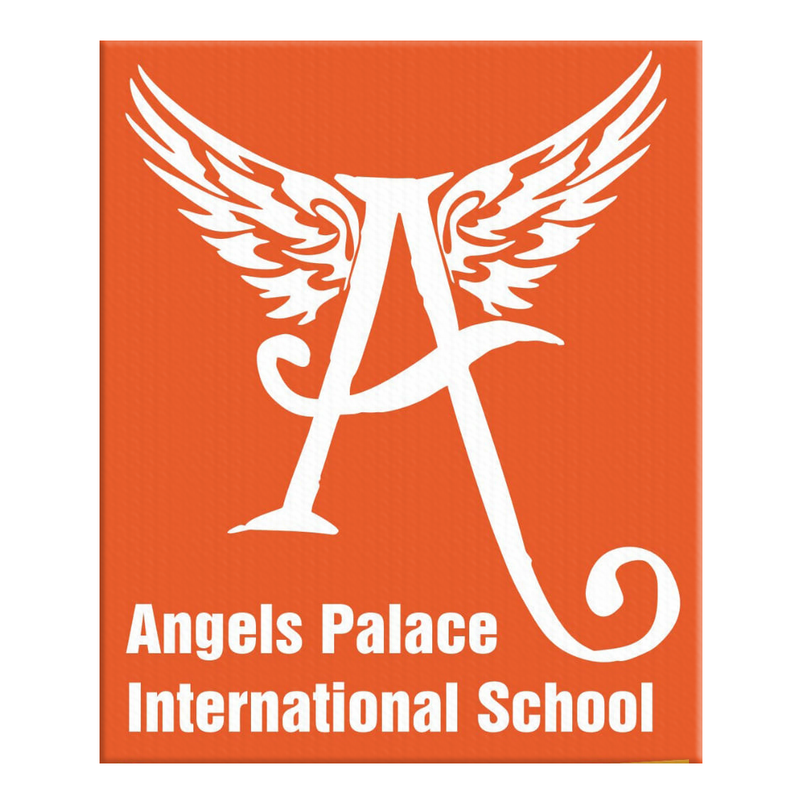 Angels Palace International School - Sohna - Gurgaon Image