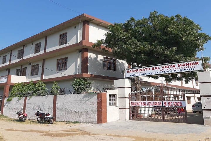 Raghunath Bal Vidya Mandir - Farukhnagar - Gurgaon Image