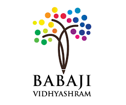 Babaji Vidhyashram School - Sholinaganallur - Chennai Image