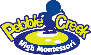 Pebble Creek High Montessori School - AS Rao Nagar - Hyderabad Image