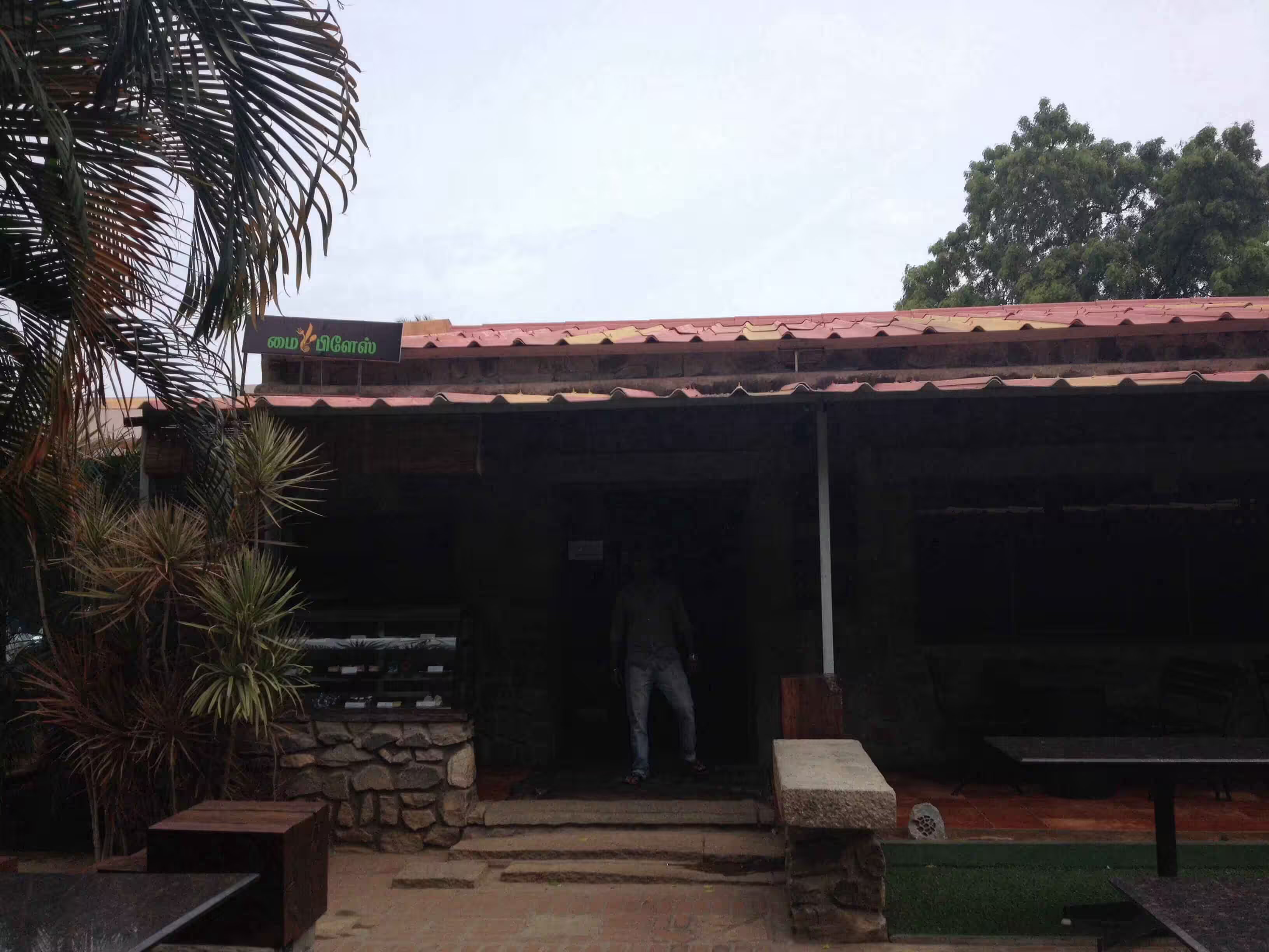 My Place Restaurant - Gandhipuram - Coimbatore Image