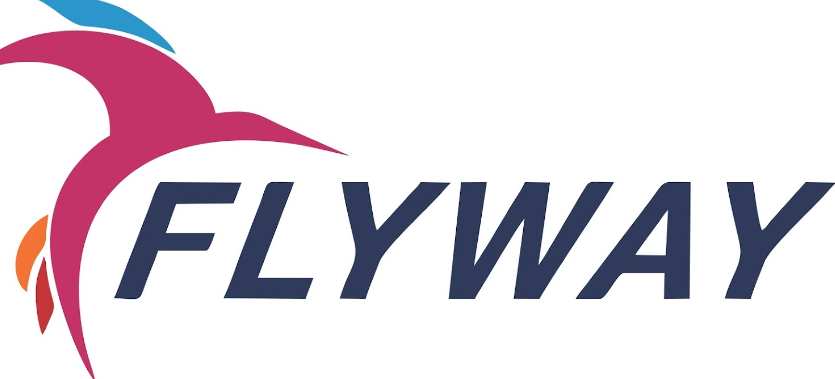 Flyway Immigration - Sector 29 - Gandhinagar Image