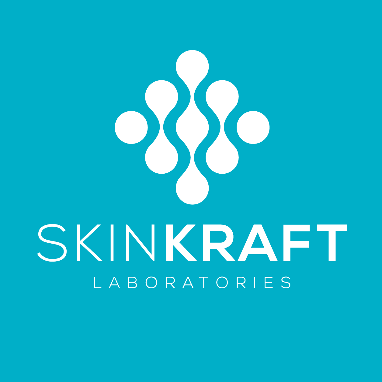 Skinkraft Image