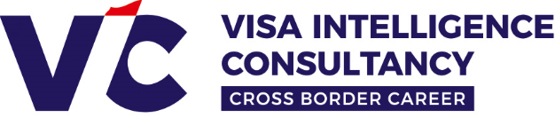 Visa Intelligence Image