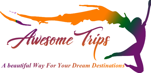 Awesome Trips - Delhi Image