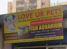 Love Your Pet - Gurgaon - Delhi Image