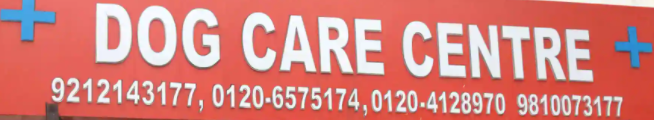 Dog Care Centre - Vaishali - Ghaziabad Image