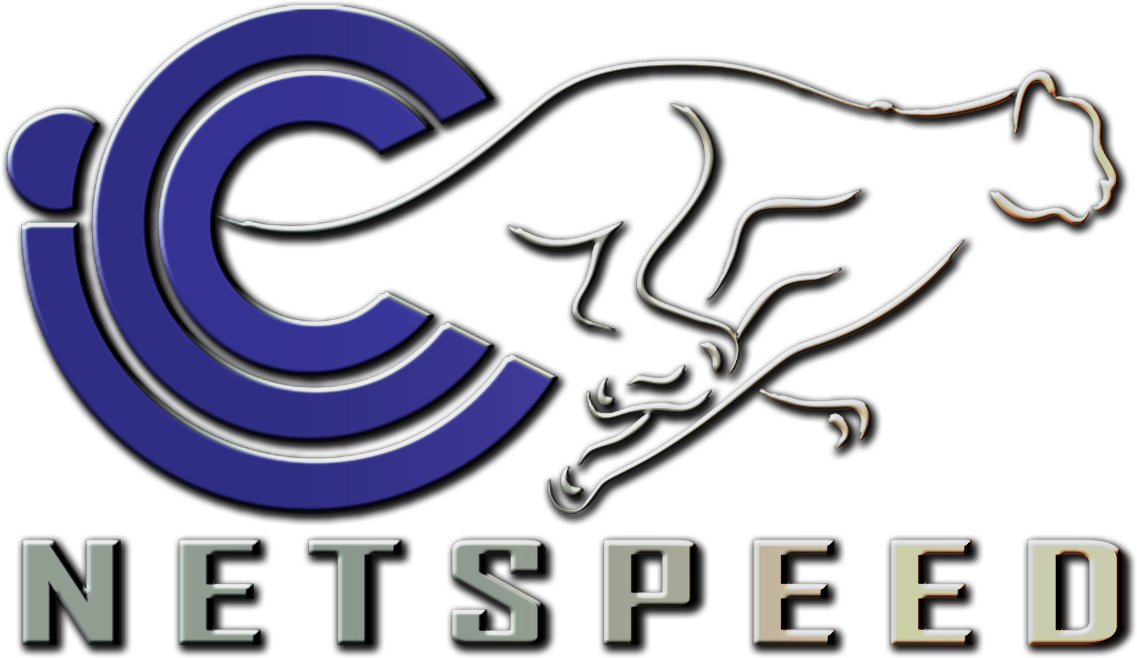 ICC NetSpeed Image