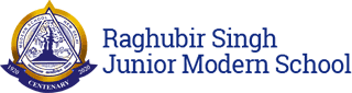 Raghubir Singh Junior Modern School - Pandara Road - New Delhi Image