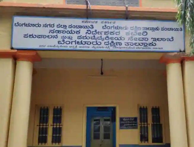 City Veterinary Hospital - Dhanavantri Road - Mysore Image