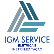 Igm Services Image