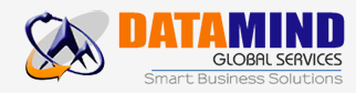 Datamind Global Services Image