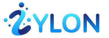 Zylon Services Image