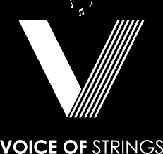 Voice Of Strings - Pragathi Nagar - Hyderabad Image