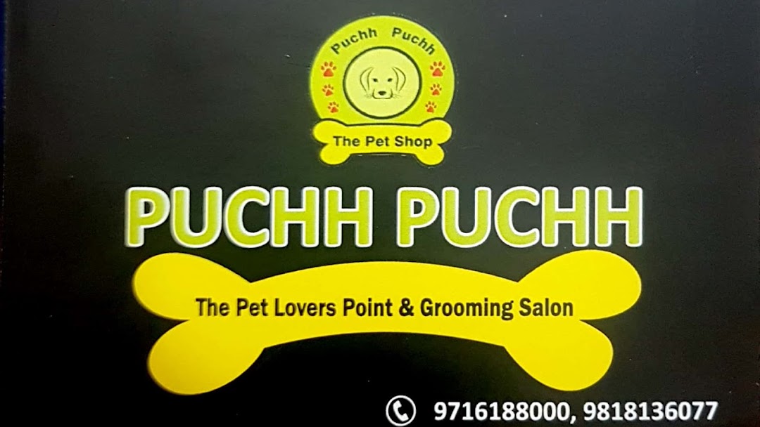Puchh Puchh - Crossing Republik - Ghaziabad Image