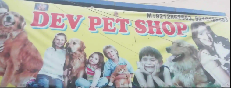 Dev Pet Shop - Tauru - Gurugram Image